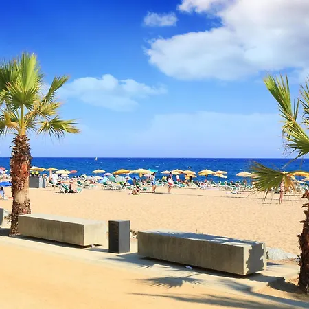 Seafront In With Access *